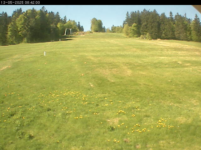 Webcam
